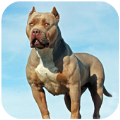 犬Pitbull Dog Simulator