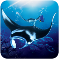 蝠鲼模拟器(The Manta rays)手游下载（暂无下载）_蝠鲼模拟器(The Manta rays)2021最新版免费下载