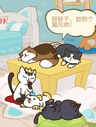猫咪的小院 猫咪的小院