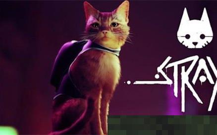 开发商确认猫猫冒险游戏《流浪》不跳票 铲屎官狂喜