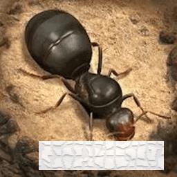 荒野蚂蚁模拟手机游戏下载_荒野蚂蚁模拟最新版手游免费下载