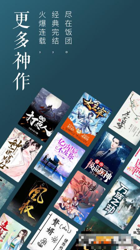饭团追书