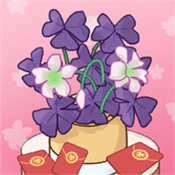 美丽鲜花街喜得